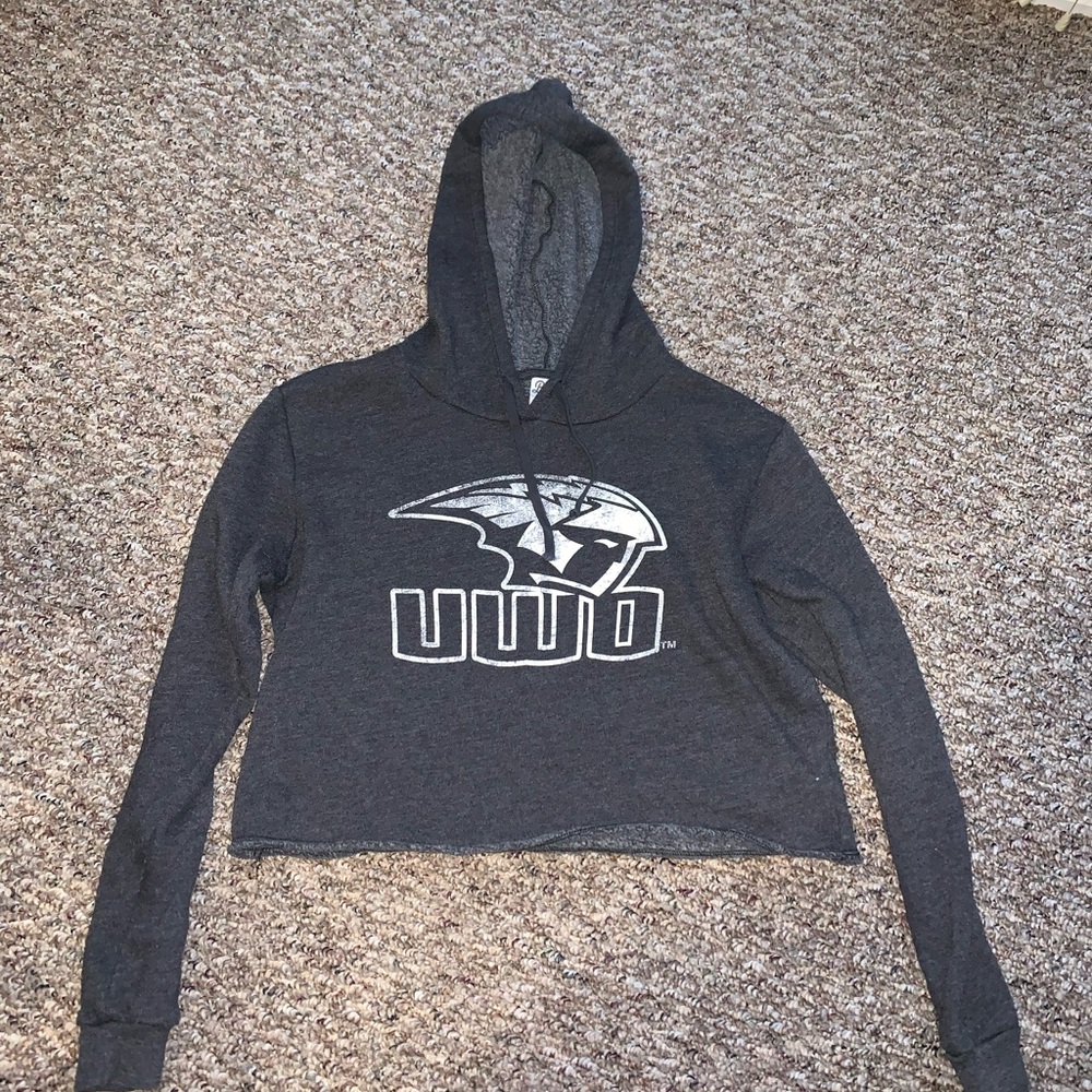 UW Oshkosh Cropped Hoodie